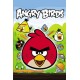 A5Angr10 Vafa Angry birds 20x15cm